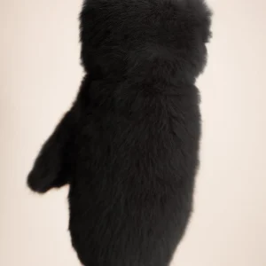 Teddy Wanten | Zwart