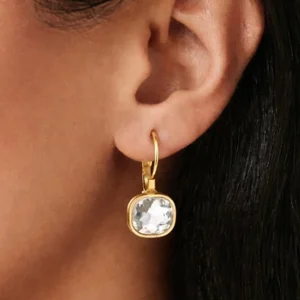 Earrings | Goud